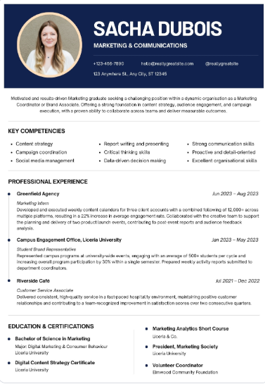 Professional CV Sample 73